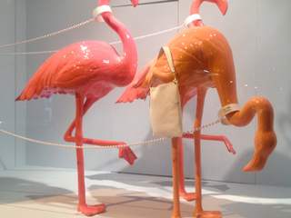 Flamingos, ZOOZOO friends for life ZOOZOO friends for life Piscinas de jardim