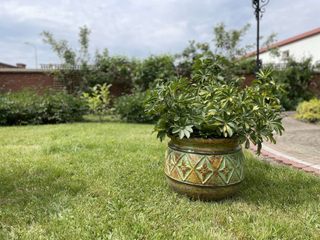 Garden and terrace pots, Cerames Cerames Front yard