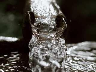 EA20250306-23563 Press profile homify Front doors Fluid, Liquid, Close-up, Silver, Macro photography, Drop, Still life photography, Water feature, Reflection