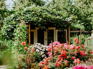 EA20250404-23632 Press profile homify Zen garden Flower, Green, Plants, Garden, Shrub, Plant community, Pink, Petal, Spring, Groundcover