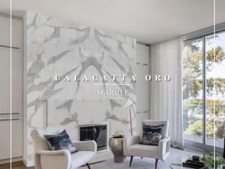 Calacatta Oro Marble, Fade Marble & Travertine Fade Marble & Travertine Salones modernos