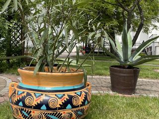 Garden and terrace pots, Cerames Cerames Front yard