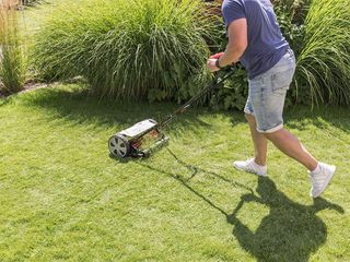 Garden razor cut, Press profile homify Press profile homify Lagoas de jardins