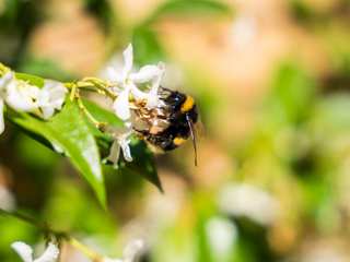 Sensory Family Garden Design Project, ED Gardens ED Gardens Interior garden