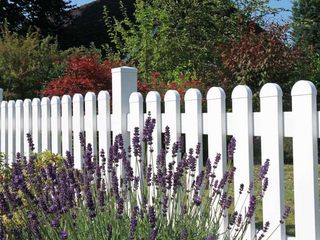EA20250505-23709 Press profile homify Garden Pond Garden, Fence, Picket fence, Herbaceous plant, Home Fencing, Landscaping, Perennial plant, Lavender, Wildflower, Lupine