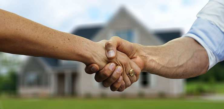 EA20230503-758 Press profile homify Steingarten Hand, Himmel, Menschen in der Natur, Geste, Finger, Händchen halten, Hochzeitsring, Daumen, Lieferung für die Hochzeitszeremonie, Engagement